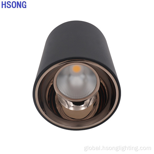 cob led downlight 10w Indoor lighting surface mounted downlight 24W Factory